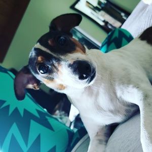 Meet your Posher, Christie